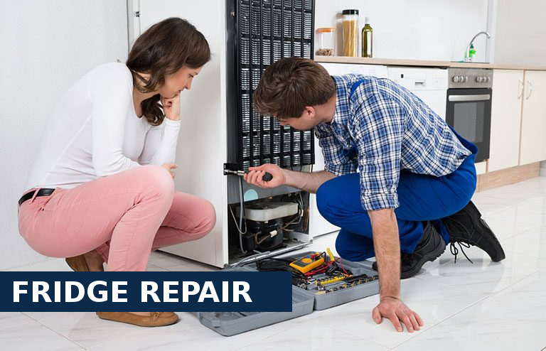 Fridge Repair Oxhey